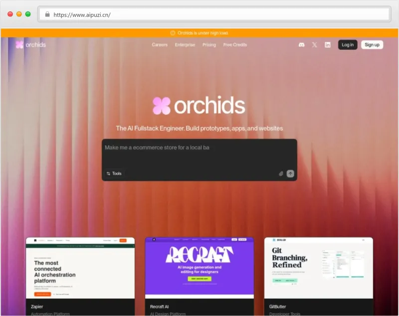 Orchids官网截图