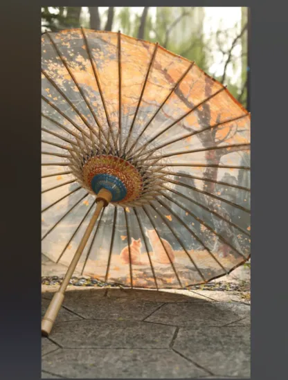 素材照片（源于网络）