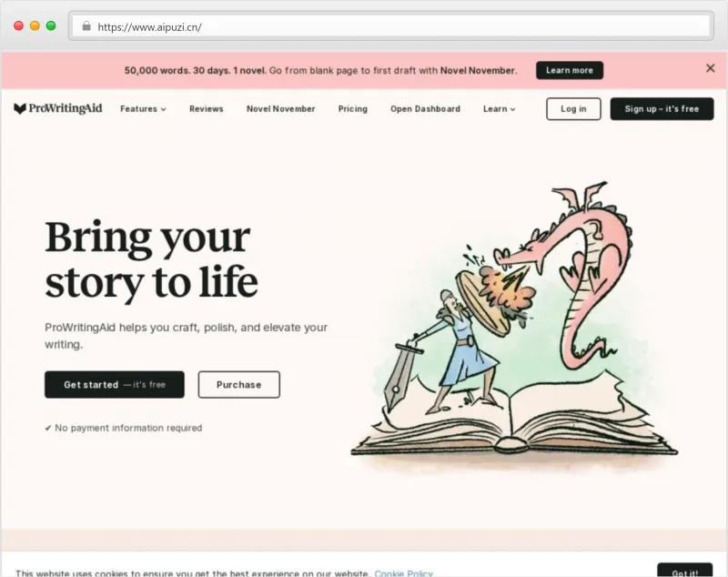 ProWritingAid官网截图