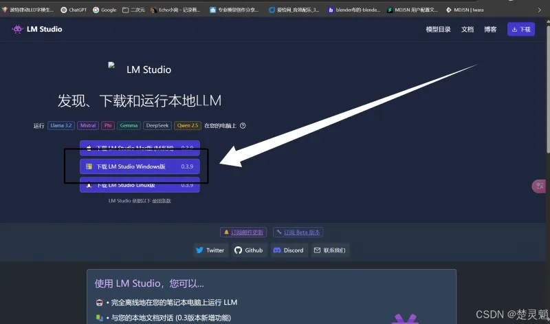 DeepSeek 本地化部署实战：从环境搭建到 API 调用全流程图文详解