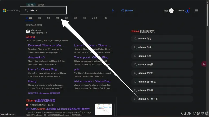 DeepSeek 本地化部署实战：从环境搭建到 API 调用全流程图文详解