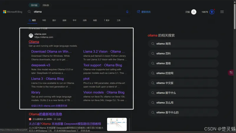 DeepSeek 本地化部署实战：从环境搭建到 API 调用全流程图文详解