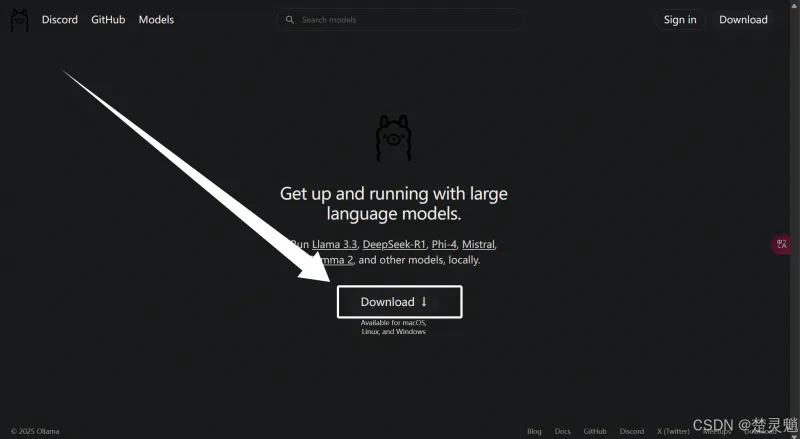 DeepSeek 本地化部署实战：从环境搭建到 API 调用全流程图文详解