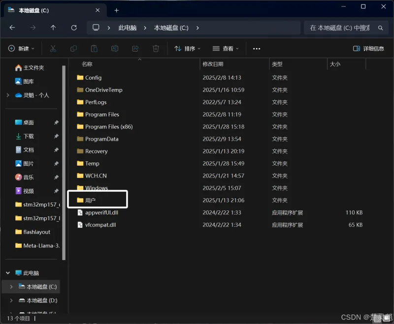 DeepSeek 本地化部署实战：从环境搭建到 API 调用全流程图文详解
