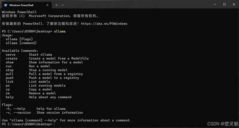 DeepSeek 本地化部署实战：从环境搭建到 API 调用全流程图文详解