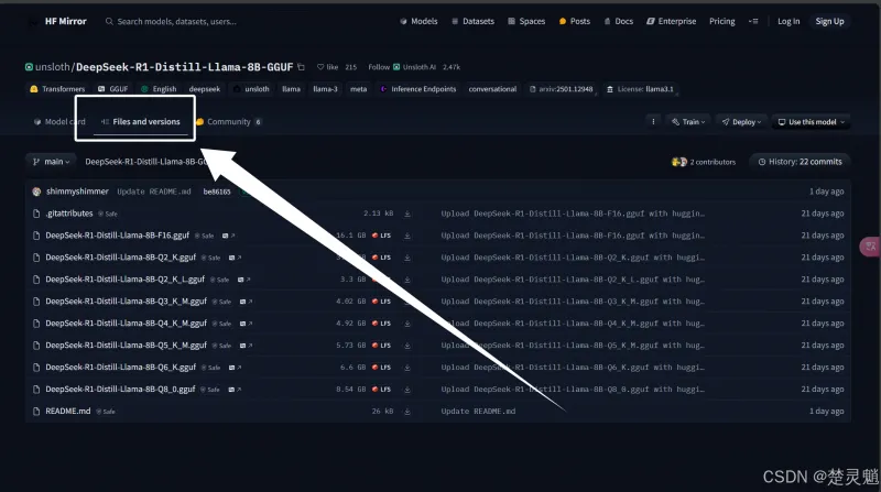 DeepSeek 本地化部署实战：从环境搭建到 API 调用全流程图文详解