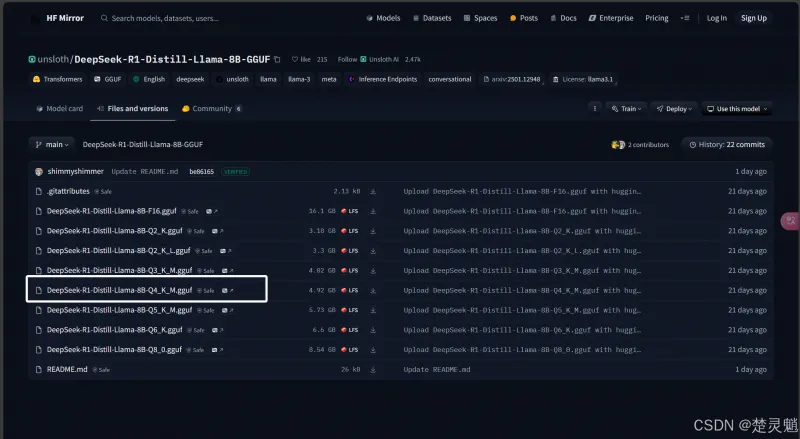 DeepSeek 本地化部署实战：从环境搭建到 API 调用全流程图文详解