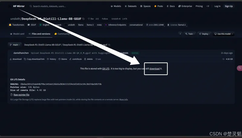 DeepSeek 本地化部署实战：从环境搭建到 API 调用全流程图文详解