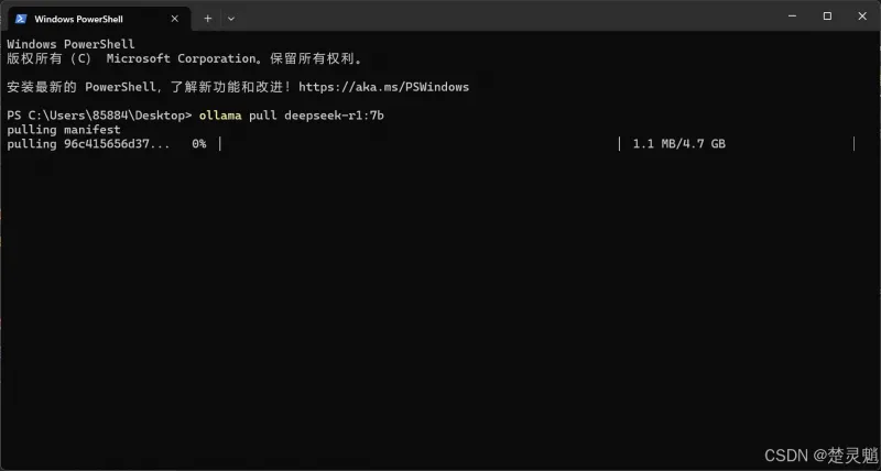 DeepSeek 本地化部署实战：从环境搭建到 API 调用全流程图文详解
