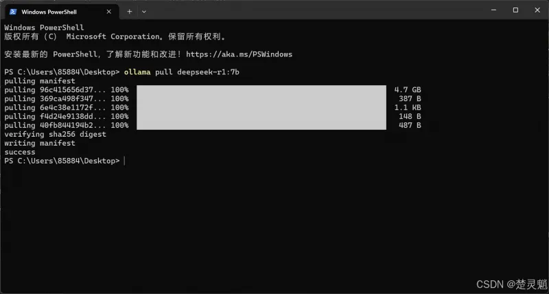 DeepSeek 本地化部署实战：从环境搭建到 API 调用全流程图文详解