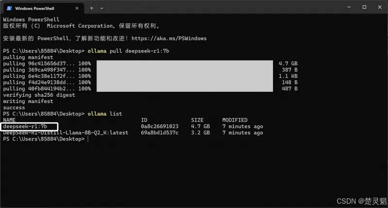 DeepSeek 本地化部署实战：从环境搭建到 API 调用全流程图文详解