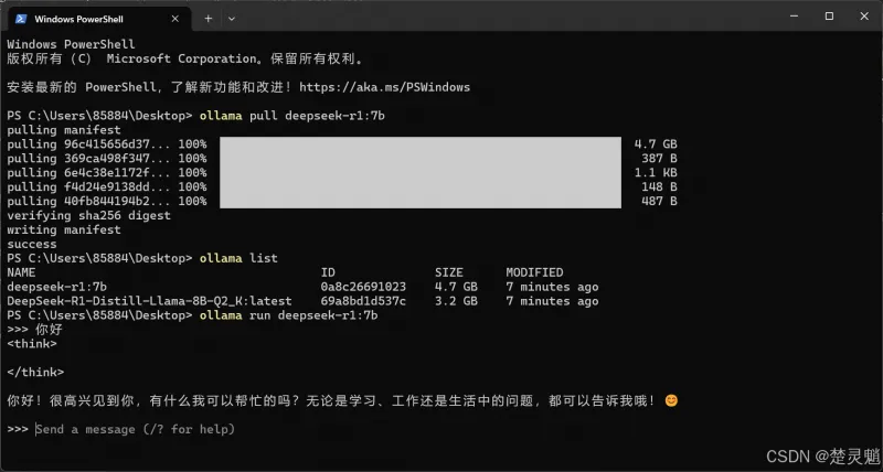 DeepSeek 本地化部署实战：从环境搭建到 API 调用全流程图文详解