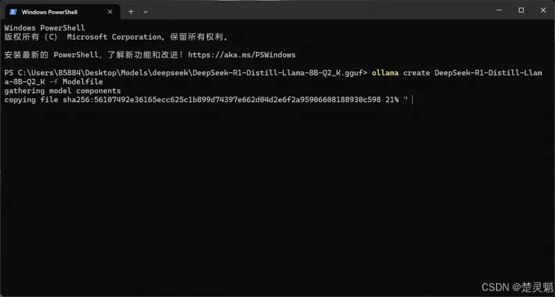 DeepSeek 本地化部署实战：从环境搭建到 API 调用全流程图文详解