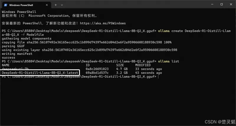 DeepSeek 本地化部署实战：从环境搭建到 API 调用全流程图文详解