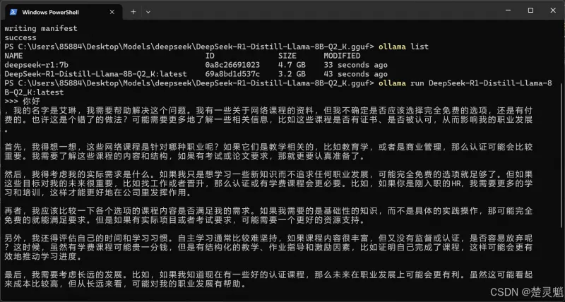 DeepSeek 本地化部署实战：从环境搭建到 API 调用全流程图文详解