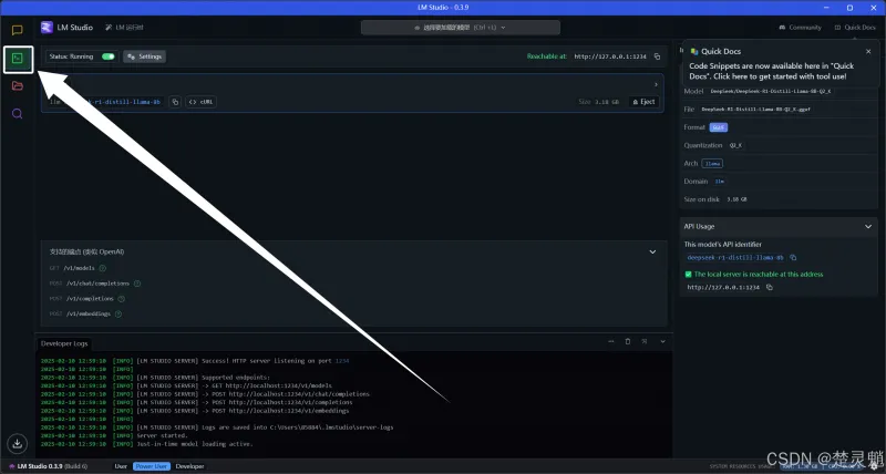 DeepSeek 本地化部署实战：从环境搭建到 API 调用全流程图文详解