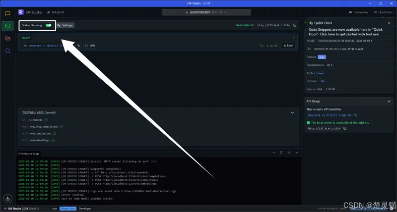 DeepSeek 本地化部署实战：从环境搭建到 API 调用全流程图文详解