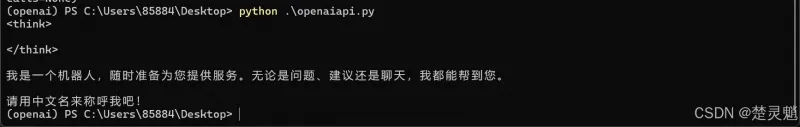 DeepSeek 本地化部署实战：从环境搭建到 API 调用全流程图文详解