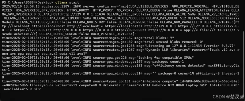 DeepSeek 本地化部署实战：从环境搭建到 API 调用全流程图文详解