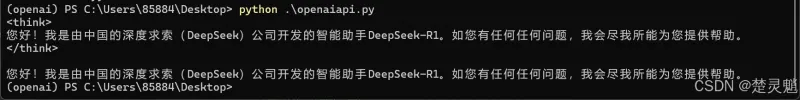 DeepSeek 本地化部署实战：从环境搭建到 API 调用全流程图文详解