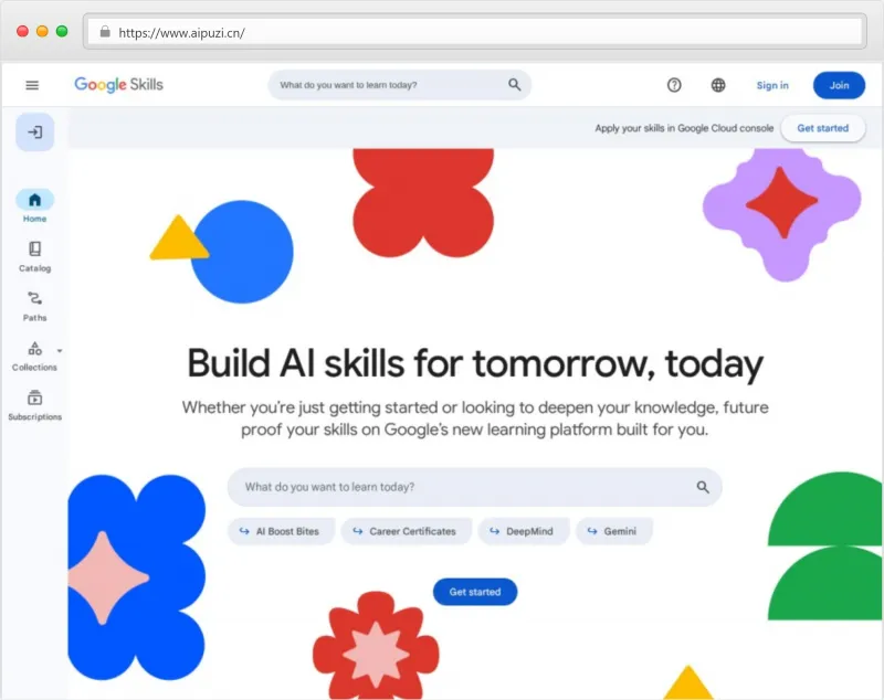 Google Skills官网截图