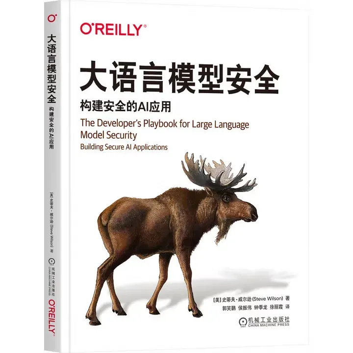 大语言模型安全：构建安全的AI应用封面