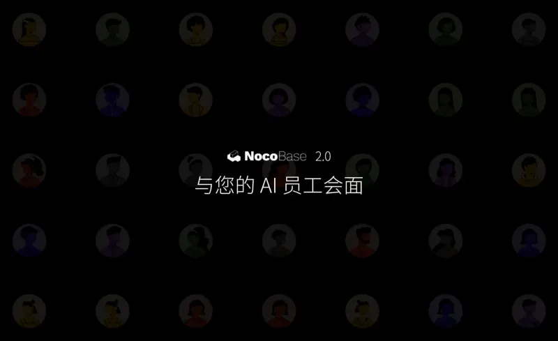 NocoBase:开源可扩展的AI增强型无代码开发工具,支持全场景业务系统构建 NocoBase:开源可扩展的AI增强型无代码开发工具,支持全场景业务系统构建
