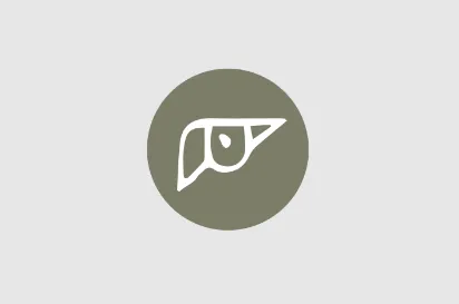 DeepEyesV2：开源多模态智能体框架，融合工具链实现复杂场景可靠推理