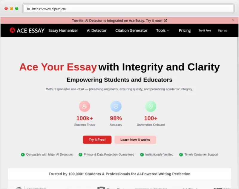 ACE ESSAY官网截图