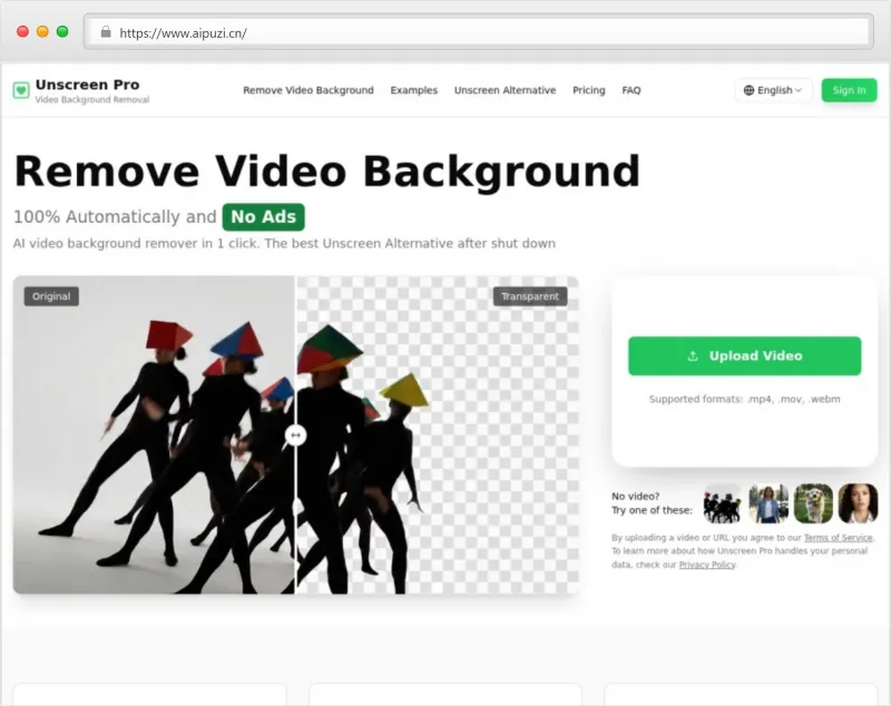 Unscreen Pro官网截图