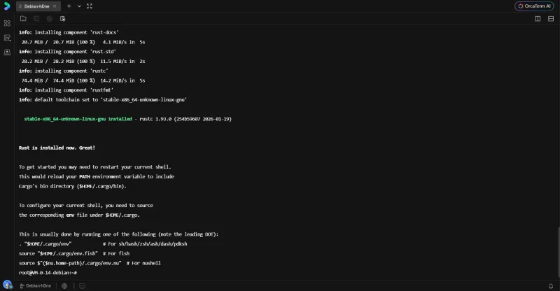 rustup 安装脚本执行界面，显示安装选项及下载进度
