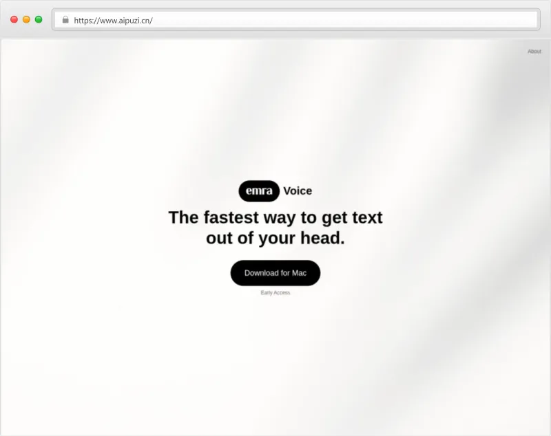 Emra Voice官网截图