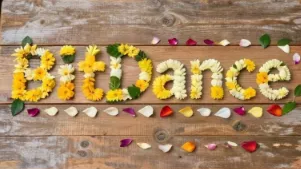 BitDance：字节跳动开源的二进制令牌自回归超快高分辨率AI图像生成模型