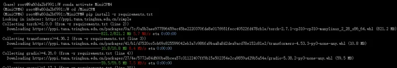 安装模型依赖库requirements