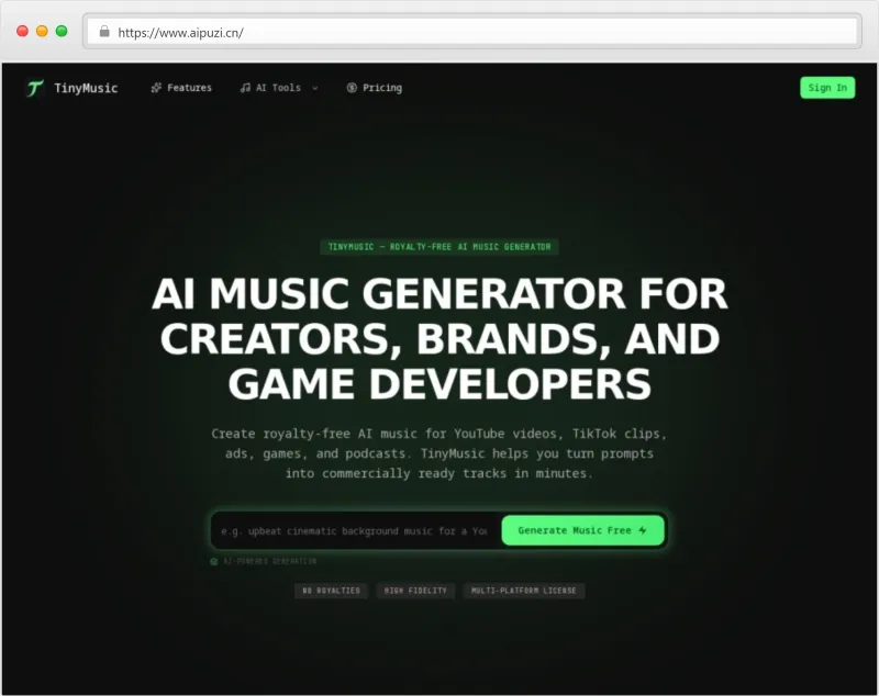 TinyMusic官网截图