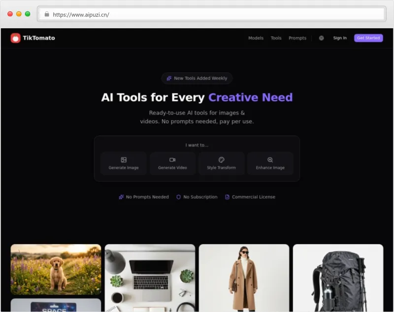 TikTomato官网截图