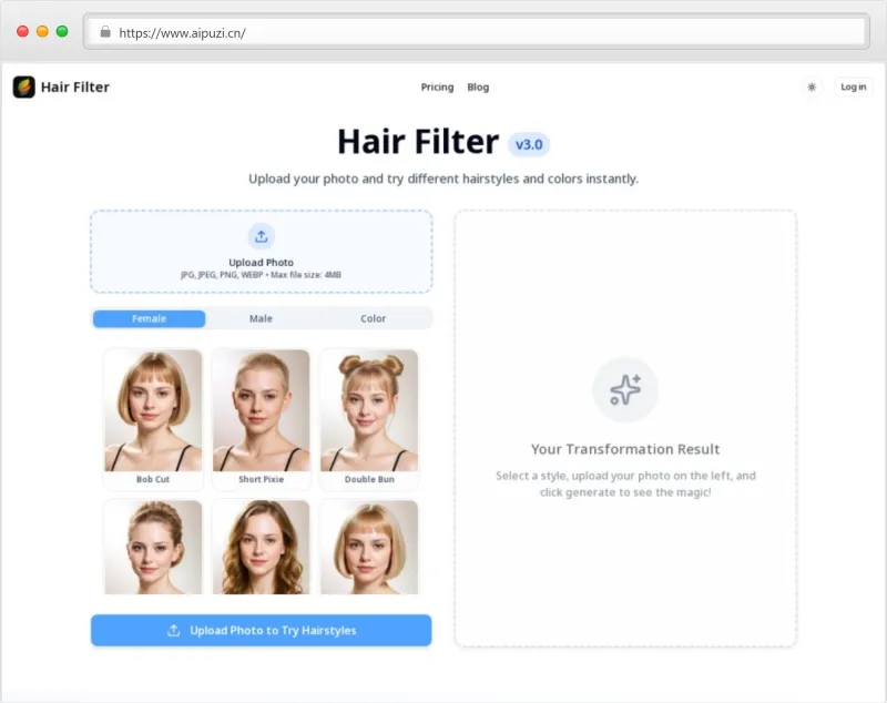 Hair Filter官网截图