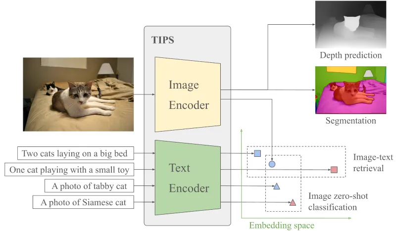 TIPSv2：谷歌 DeepMind 开源的多模态编码器，强化 Patch-Text 对齐与空间感知
