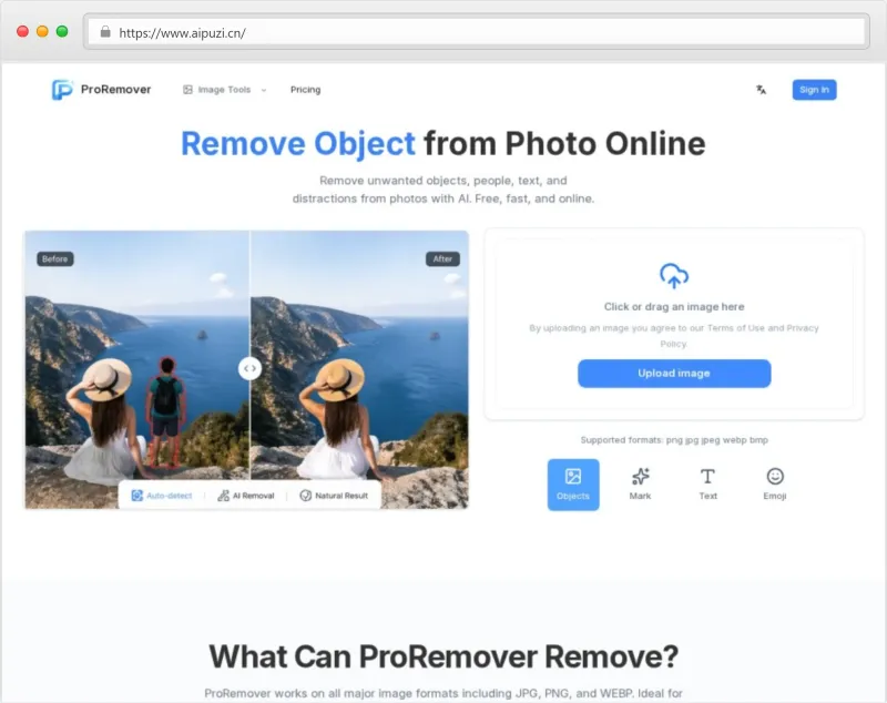 ProRemover官网截图