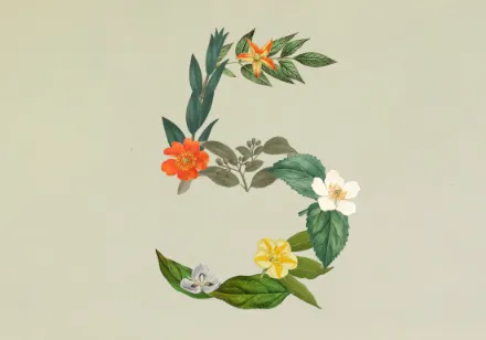 Claude Sonnet 5：Anthropic推出的中端旗舰级智能体大模型