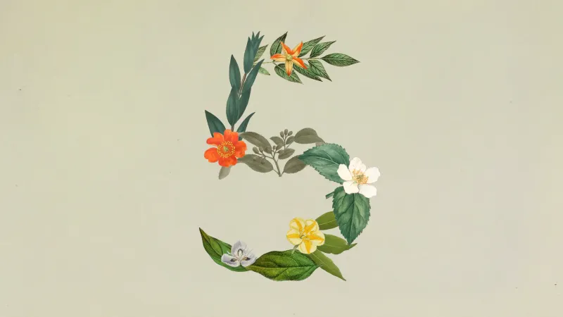 Claude Sonnet 5：Anthropic推出的中端旗舰级智能体大模型