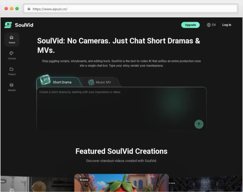 SoulVid官网截图