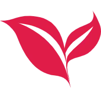 LogoAI.ai：免费在线AI Logo生成器，几分钟打造专业品牌标识