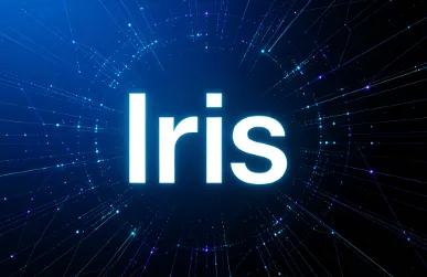 Iris：小红书开源搜索智能体框架，支持中英文多跳联网检索