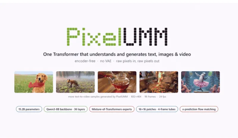 PixelUMM(图1)