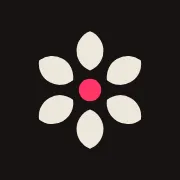 Molyin：集成多模型的在线AI视频与图片生成工具